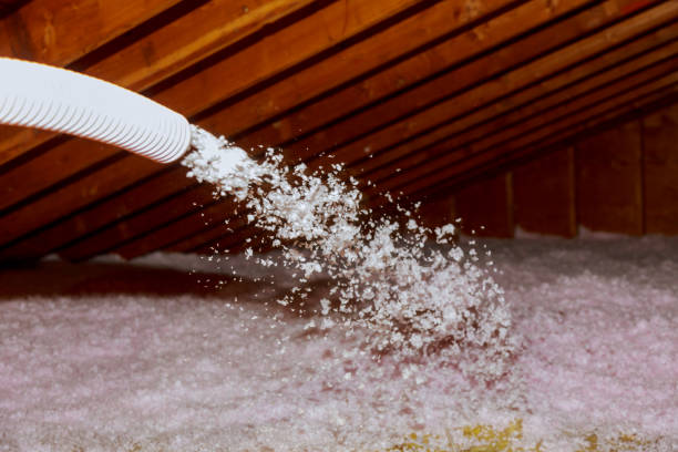 Best Insulation Repair Services  in North Valley Stream, NY