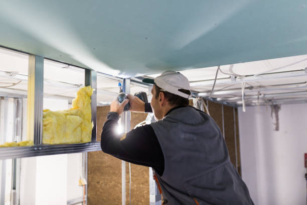 Best Home Insulation Services  in North Valley Stream, NY