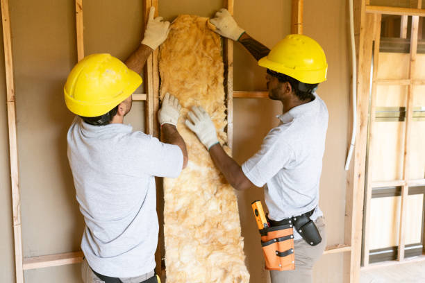 Best Insulation for New Construction  in North Valley Stream, NY