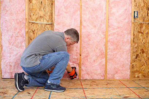 Best Professional Insulation Contractor  in North Valley Stream, NY