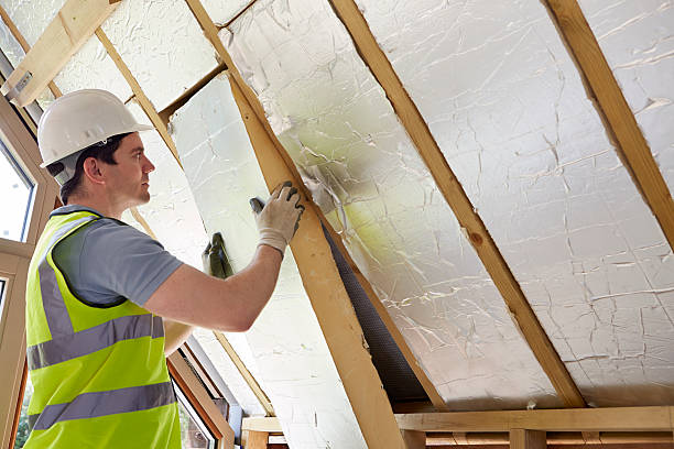 Best Cellulose Insulation  in North Valley Stream, NY