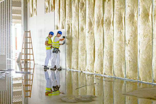 Best Insulation Replacement Services  in North Valley Stream, NY